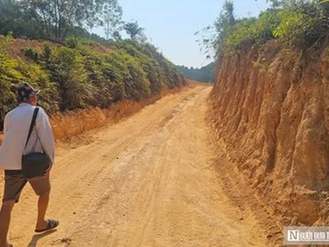 Chủ rừng kiến nghị cho tiếp tục khai thác gần 40ha rừng không hồ sơ pháp lý ở Huế