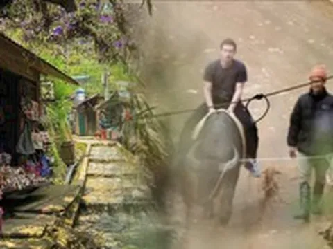 Việt Nam có 1 ngôi làng khiến Mark Zuckerberg cưỡi trâu đến thăm, xứng danh điểm đến đẹp nhất châu Á