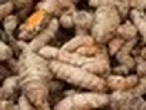 Lời khuyên dành cho những gia đình đang trồng nghệ