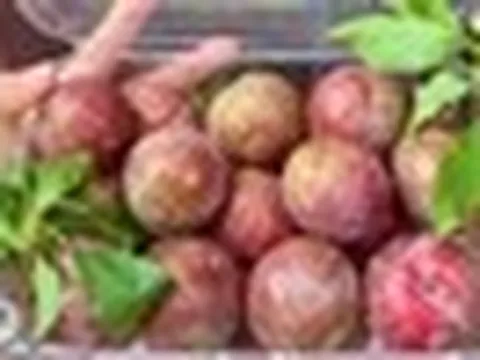Điều gì xảy ra khi bạn ăn quá nhiều quả mận? Bác sĩ dinh dưỡng nhắc: 4 kiểu người này phải cực kỳ cẩn thận!