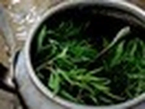 5 lưu ý khi uống lá đinh lăng