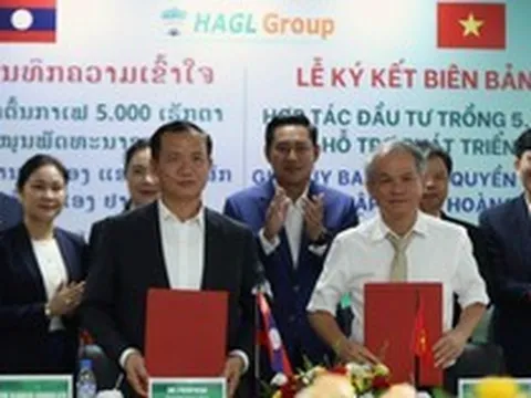 Chính quyền tỉnh Champasak và Bầu Đức ký thỏa thuận phát triển 5.000 ha cà phê, nhắm mục tiêu vùng trồng lớn nhất thế giới