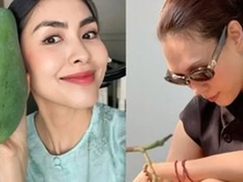 Tăng Thanh Hà, Mỹ Tâm đua nhau trồng 1 loại cây cho quả lúc lỉu: Ngon, sạch chẳng lo thuốc trừ sâu còn xóa nhăn da