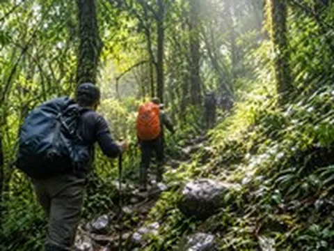 Cấm tuyệt đối 1 LOẠI hình du lịch được nhiều người yêu thích tại vườn Quốc Gia nổi tiếng