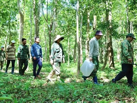 Truy quét "thòng lọng tử thần" giữa đại ngàn Tây Nguyên