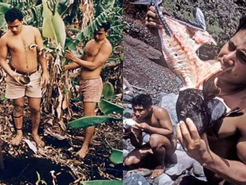6 nam sinh sống 15 tháng trên đảo hoang không bóng người, giờ ra sao?