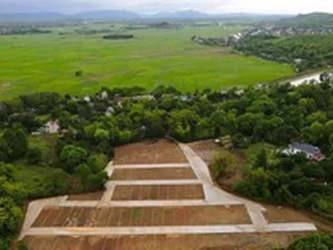 Thanh Hóa phản hồi vụ san gạt cả quả đồi, phân lô bán nền tại nhiều nơi