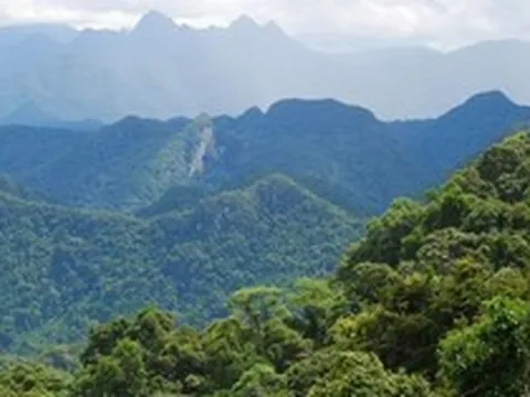 Việt Nam sắp có thêm Khu du lịch 170ha: Xây trên đỉnh núi hoang sơ được ví như "Bà Nà Hills" thứ 2