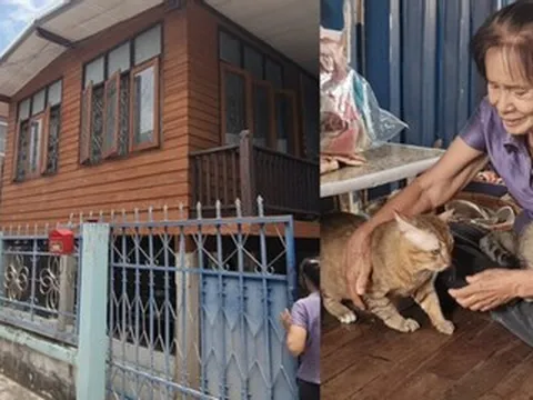Bà lão 81 tuổi sống tằn tiện, dành tiền mua nhà hơn 800 triệu đồng cho mèo hoang