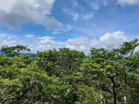 Phong Nha - Kẻ Bàng được công nhận là Khu Dự trữ sinh quyển thế giới