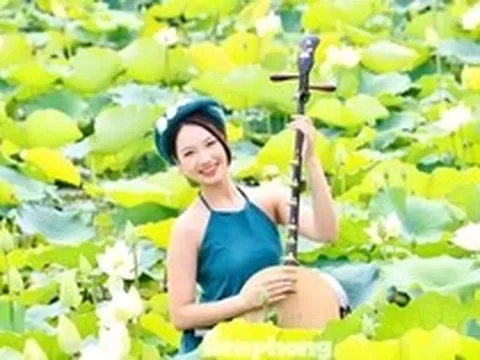 Đắm đuối mùa sen Hà Nội