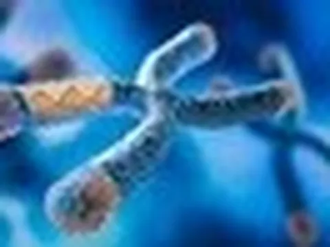 Một lỗi DNA có thể biến chuột cái thành đực: Hy vọng cho con người