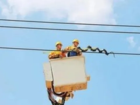 Phát hiện vật thể nhìn như rắn quấn quanh đường dây điện của Trung Quốc: "Thân phận" thực sự gây bất ngờ