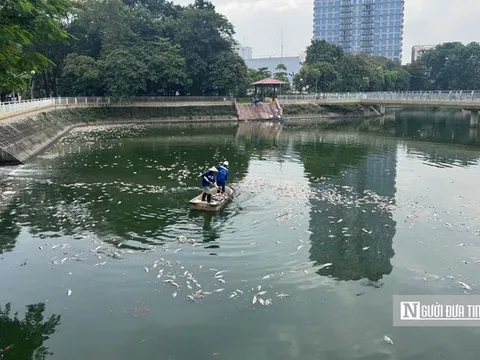 Hà Nội: Cá chết nổi trắng hồ Nghĩa Đô