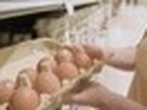 Người phụ nữ 33 tuổi ngày nào cũng ăn trứng suốt 5 tháng, đi khám sức khỏe bác sĩ bất ngờ hỏi: "Chị đã làm gì vậy?"
