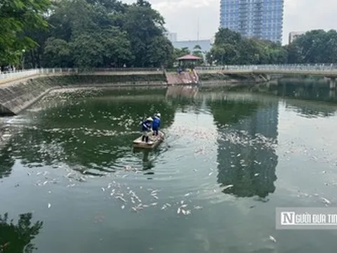 Hà Nội: Cá chết nổi trắng hồ Nghĩa Đô