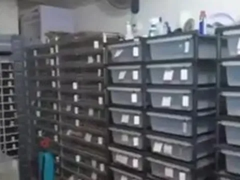 Phát hiện một căn hộ có lượng điện tiêu thụ nhiều bất thường, cảnh sát ập vào, chứng kiến cảnh tượng rùng mình