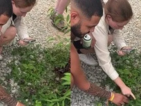 Khách Tây ngồi xổm ven đường ở Hà Giang, tay chạm vào loài cây dại: Nhìn thấy phải rút điện thoại ra quay gấp