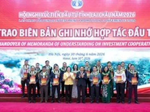 Taseco mở rộng sang năng lượng tái tạo, nghiên cứu đầu tư dự án điện mặt trời 22.000 tỷ tại Lai Châu