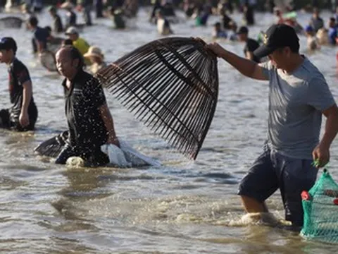 Hàng trăm người cùng lội nước săn cá ở Hà Tĩnh, nhiều người bắt được cá lớn
