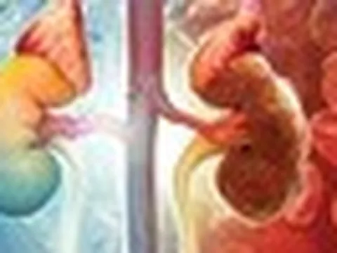 1 thói quen buổi tối có thể khiến thận xuống cấp nhanh chóng: Gặp ở rất nhiều người Việt