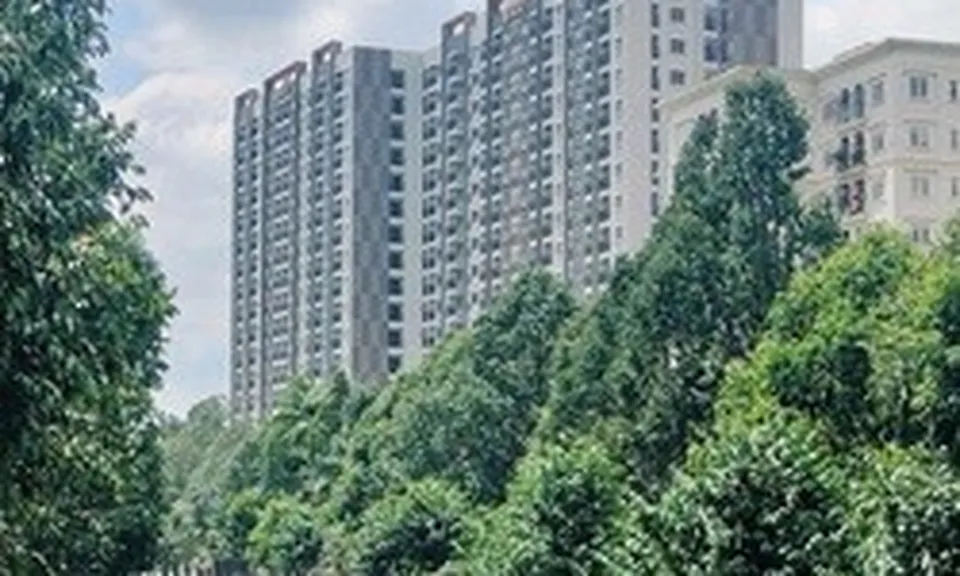 Đồng Nai cảnh báo không mua nhà ở xã hội qua "cò mồi", "suất ngoại giao"